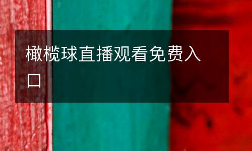 橄欖球直播觀看免費(fèi)入口
