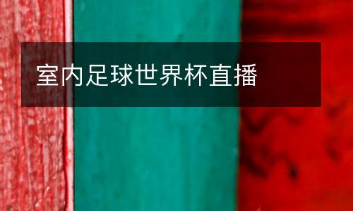 室內(nèi)足球世界杯直播
