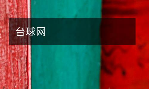 臺球網(wǎng)