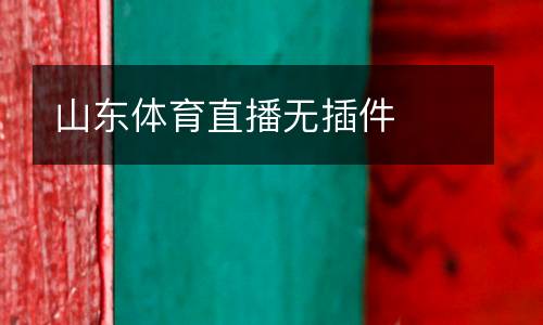 山東體育直播無插件