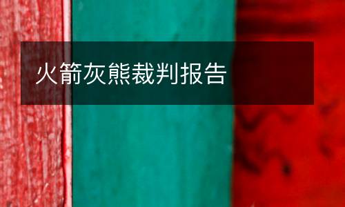 火箭灰熊裁判報(bào)告