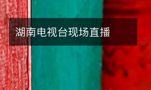 湖南電視臺現(xiàn)場直播