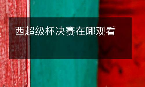 西超級杯決賽在哪觀看